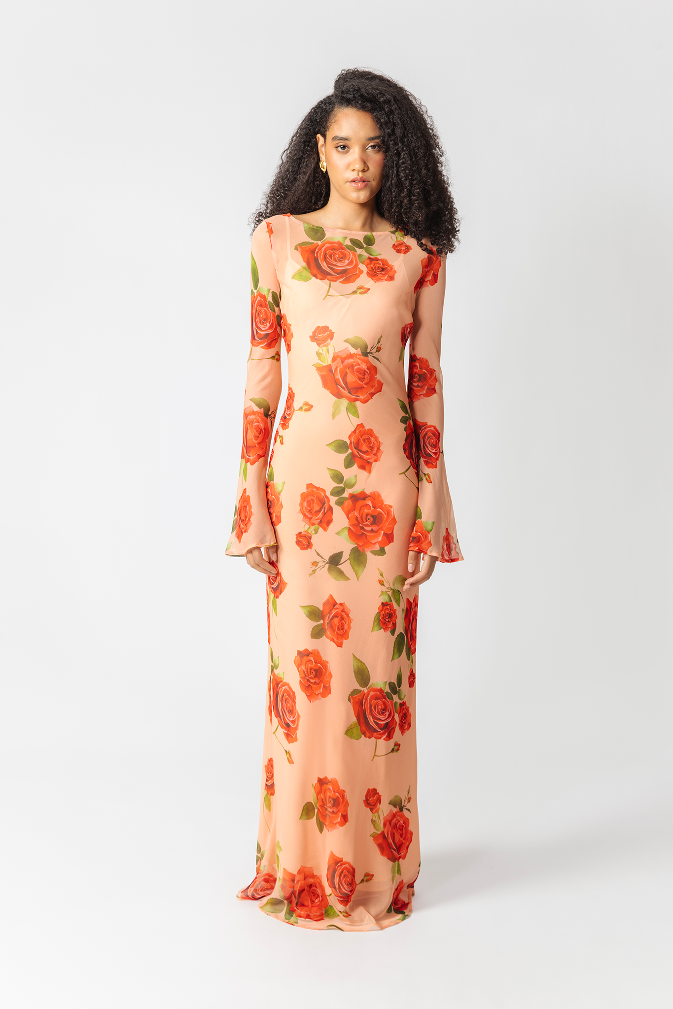 SAU LEE Gloria Sheer Dress - Peach Multi / 00