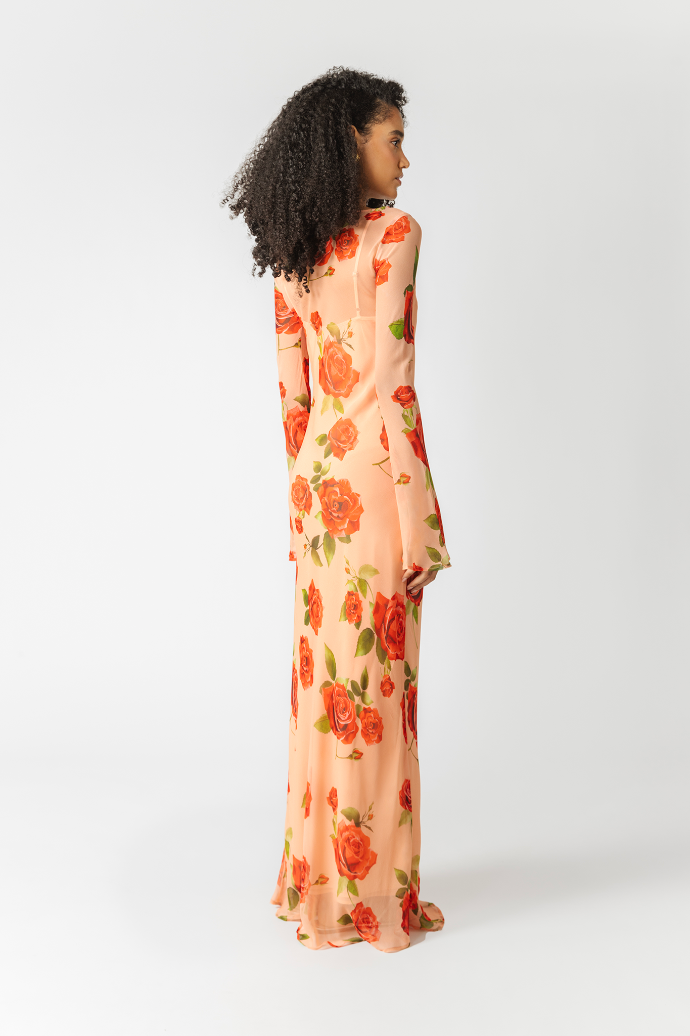 SAU LEE Gloria Sheer Dress - Peach Multi / 00